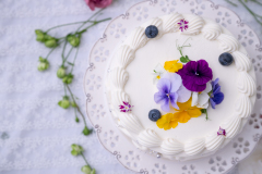 日本菓子専門學校